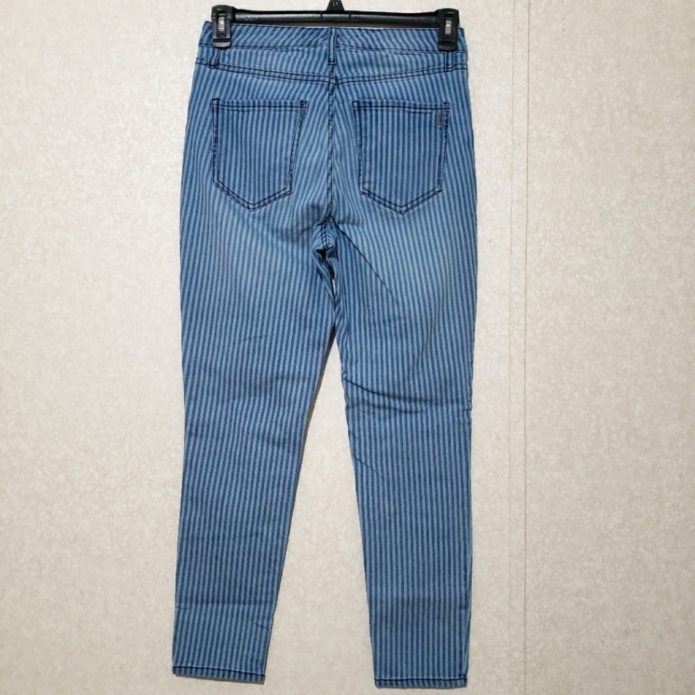 VINTAGE X AMERICA....Striped High rise  Blue Jeans...size:8/29 - Picture 2 of 11
